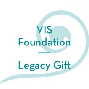vis-foundation-icon